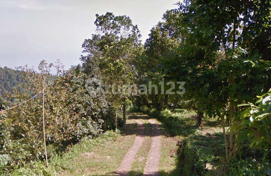 For Sale 1 Plot of Land with Total Area 11500 M2 - Buleleng For Sale 1 Plot of Land with Total Area 11500 M2 - Buleleng