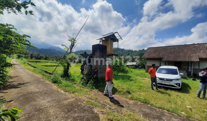 For Sale 1 Plot of Land & Building - Jembrana Regency For Sale 1 Plot of Land & Building - Jembrana Regency