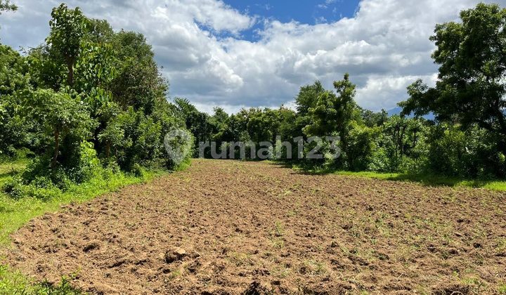 For Sale Land Area 92500 M2- Buleleng, Bali