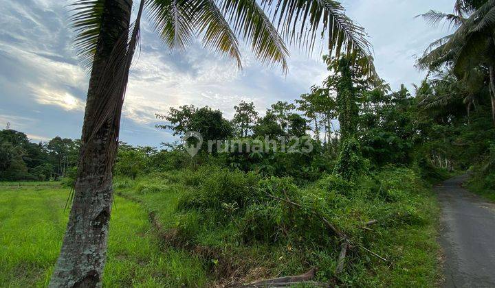 Dijual Tanah di Desa Tusan, Klungkung – Cocok untuk Villa 2