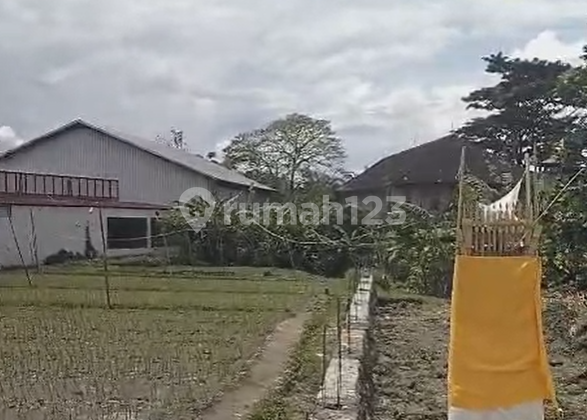 Land for Rent 12 Are Dalung - Strategic Location