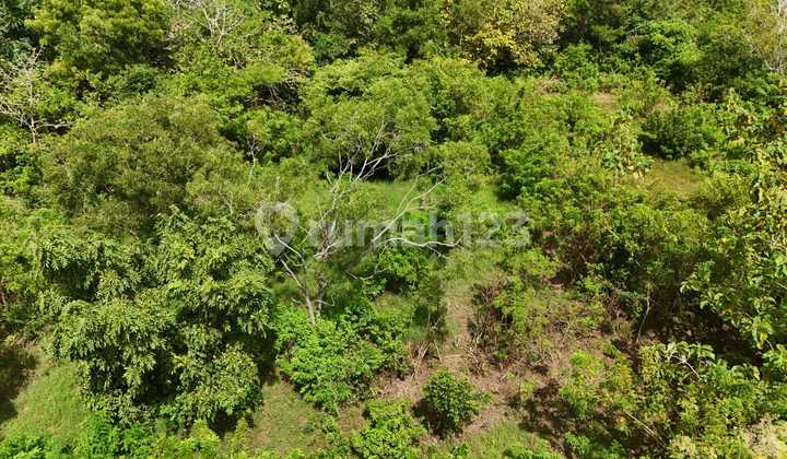 Disewakan Tanah Lokasi Strategis di Ungasan