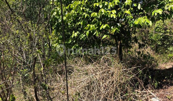 Dijual 1 Bidang Tanah dengan Total Luas 9.450 M2 - Badung Dijual 1 Bidang Tanah dengan Total Luas 9.450 M2 - Badung