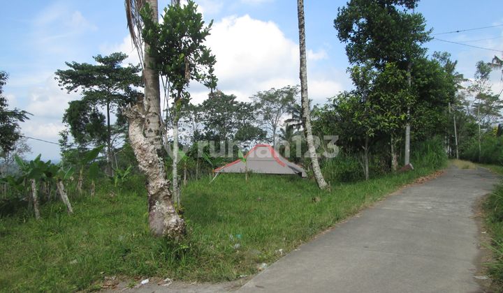 For Sale 1 Plot of Land - Gianyar Regency For Sale 1 Plot of Land - Gianyar Regency