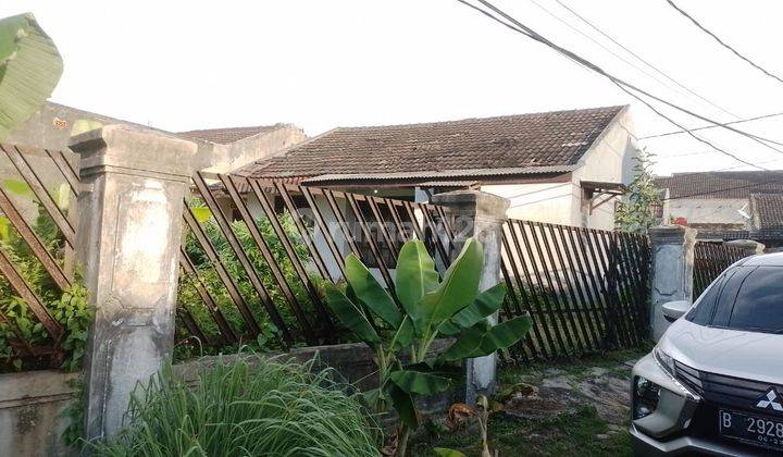 Dijual rumah lama hitung tanah saja bonus bangunan diSerua Makmur 1