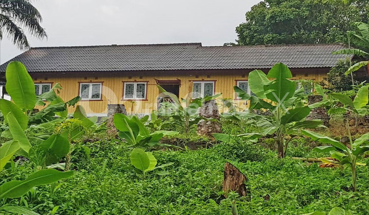 Tanah Kavling Kp. Tangkil Kaler Desa Babakan Karet, Kabupaten Cianjur, Jawa Barat