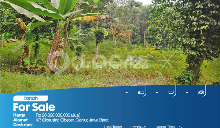 KP. Cipeusing Cibeber Plot of Land, Cianjur, West Java KP. Cipeusing Cibeber Plot of Land, Cianjur, West Java