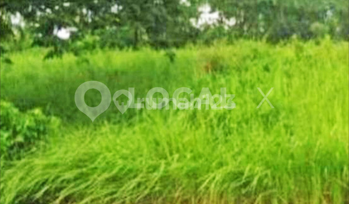 Tanah Kavling Sinabung Cikarang, Bekasi, Jawa Barat Tanah Kavling Sinabung Cikarang, Bekasi, Jawa Barat