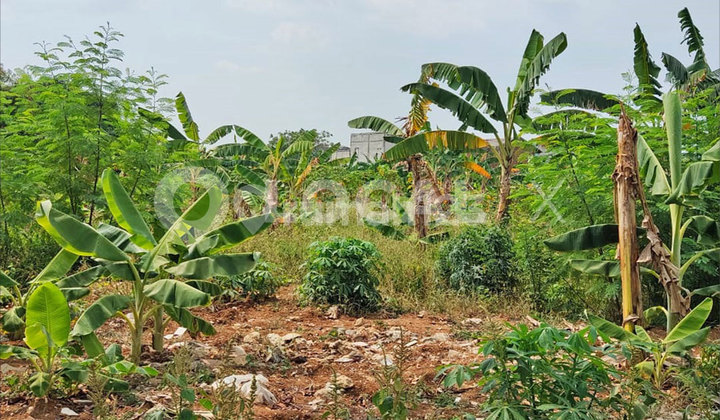 Tanah Kavling Jambu Kutabaru, Pasar Kemis, Tangerang, Banten Tanah Kavling Jambu Kutabaru, Pasar Kemis, Tangerang, Banten