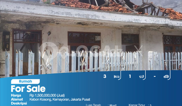 Empty Garden House, Kemayoran, Central Jakarta 2