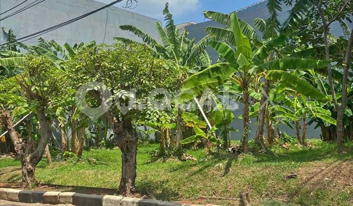 Kavling Tanah Sunter Permai Jaya Jakarta Utara