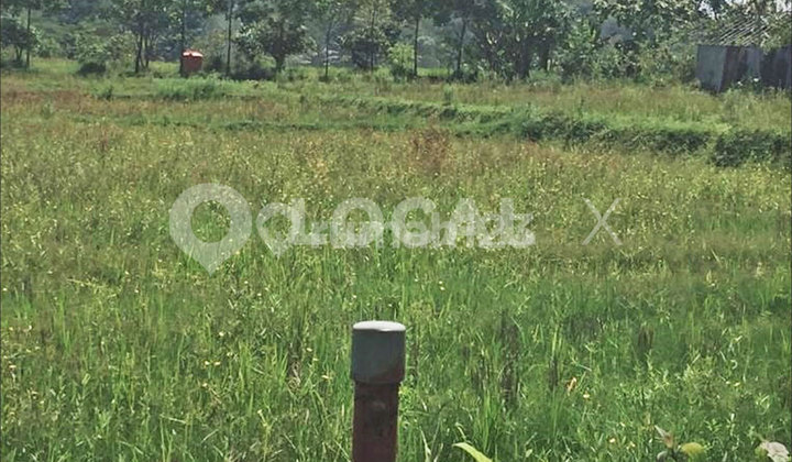 Land Plot on Jl. Raya Dago Parung Panjang, Bogor, West Java