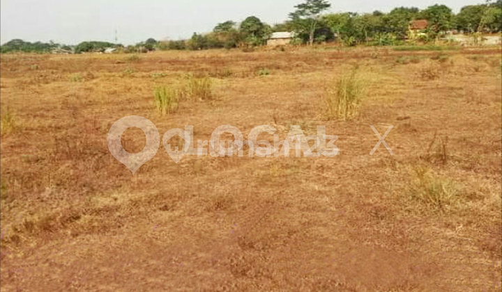 Rumah Kelapa Nias Kelapa Gading, Jakarta Utara