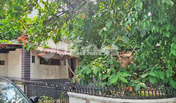 Pink House, Kelapa Gading, North Jakarta