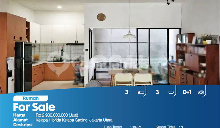 Rumah Kelapa Hibrida Kelapa Gading, Jakarta Utara 2