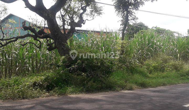 Tanah plot merah di lamongan 1