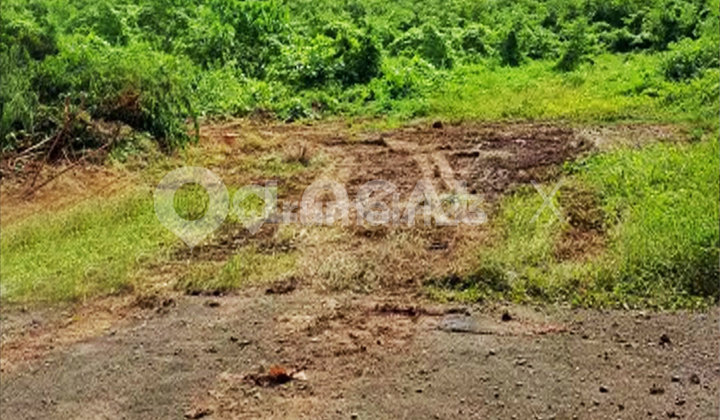 Kavling Tanah Gading Kirana, Kelapa Gading, Jakarta Utara Kavling Tanah Gading Kirana, Kelapa Gading, Jakarta Utara