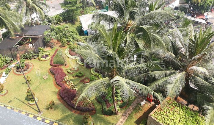 For Rent Central Park Residence Apartment 1br Furnished