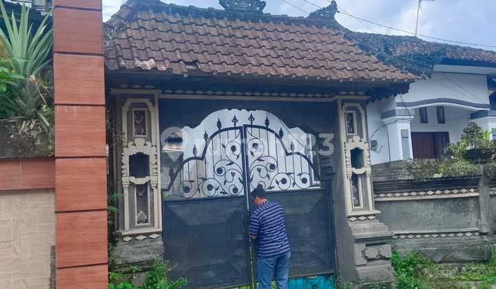 Cheap House in Kediri Tabanan at Land Price 2