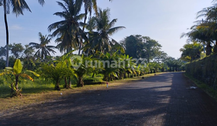 Tanah kavling Di Greenlot Tanah kavling Di Greenlot