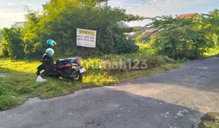 Tanah Hanya 1 Are Di Denpasar