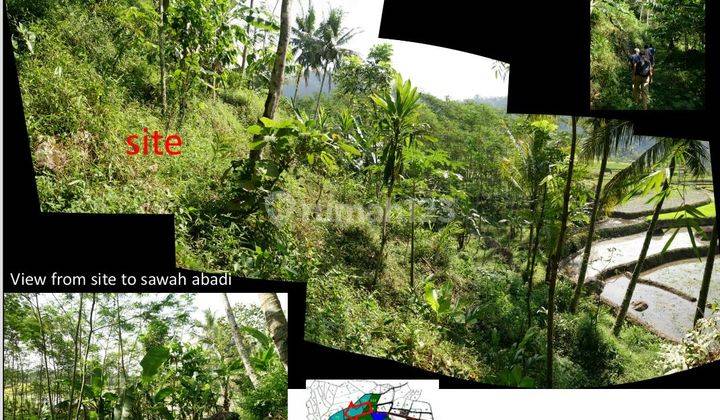 LAHAN KOSONG SDH DI CUT & FILL UNTUK AGROWISATA DI DEKAT MUNCUL KAB. SEMARANG 3