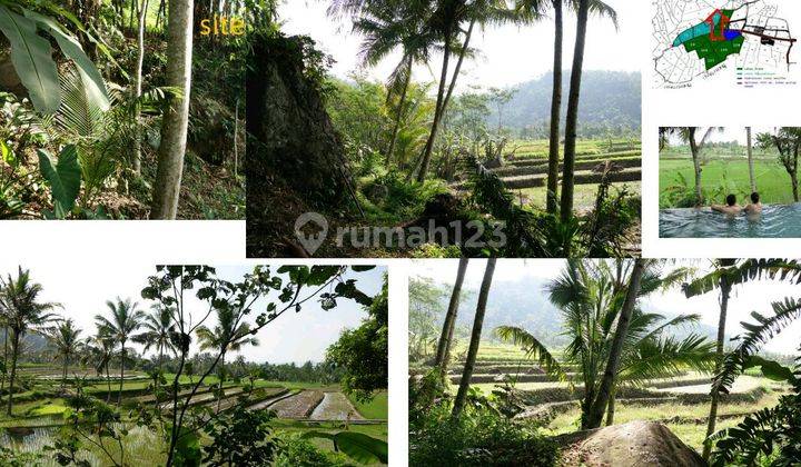 LAHAN KOSONG SDH DI CUT & FILL UNTUK AGROWISATA DI DEKAT MUNCUL KAB. SEMARANG 7