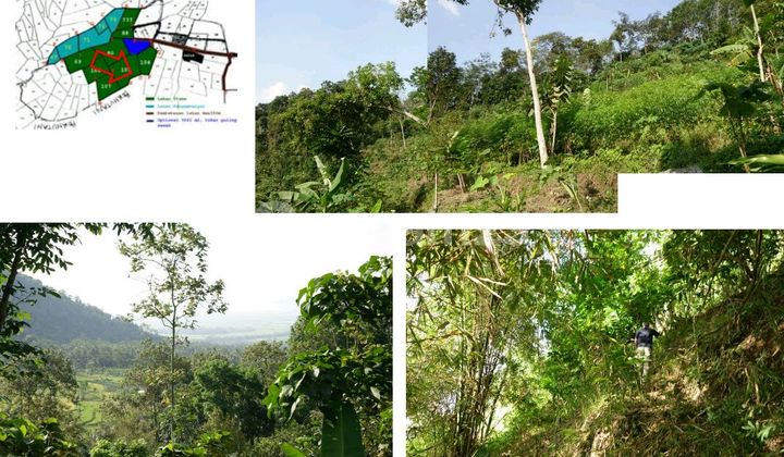LAHAN KOSONG SDH DI CUT & FILL UNTUK AGROWISATA DI DEKAT MUNCUL KAB. SEMARANG 9