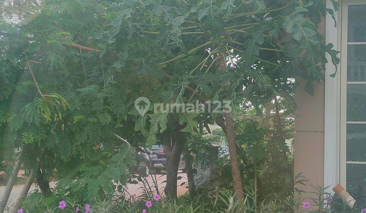 Rumah cantik  Bagus 2 Lantai  Green lake city cluster east Asia UK 6x15 hoek  7