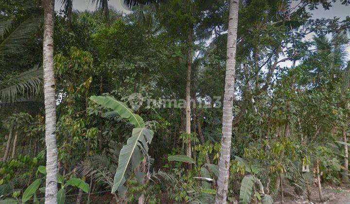 Dijual cepat harga murah 70rb / mtr lokasi jawa barat SHM 2