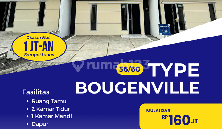 Rumah Dijual di Winongan Pasuruan - Mulai Dari 200 Juta Type 36/60 Bougenville Blok D1 No.16 - Cicilan Flat 1 Juta Rumah Dijual di Winongan Pasuruan - Mulai Dari 200 Juta Type 36/60 Bougenville Blok D1 No.16 - Cicilan Flat 1 Juta