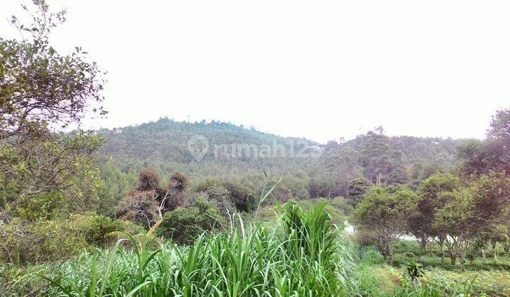 Kavling Cocok Untuk Villa, Resort Di Gunung Putri Lembang 2