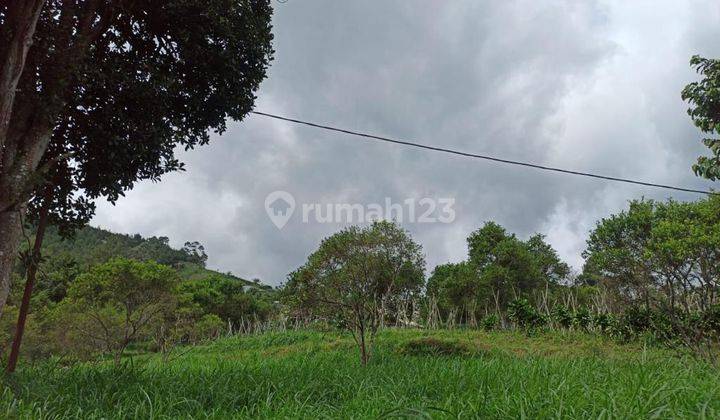 Kavling Cocok Untuk Villa, Resort Di Gunung Putri Lembang 1