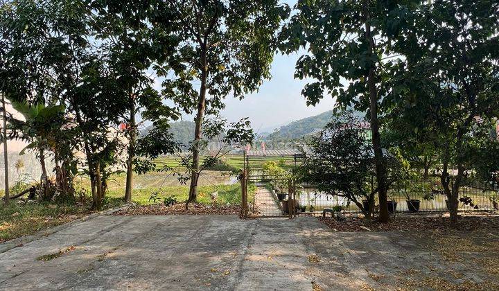 Tanah Di Mainroad Sumedang Cocok Untuk Usaha Kuliner 1
