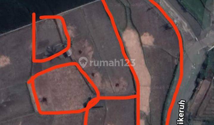 Dijual Tanah Sawah Produktif di Jatinangor 2