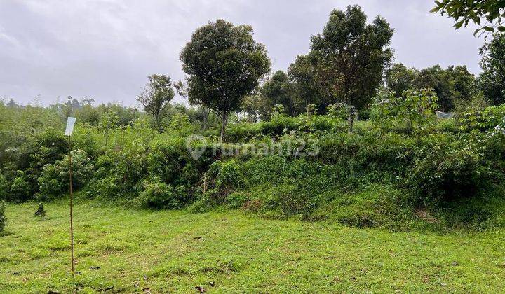 Dijual Tanah di Dago Giri Lembang Cocok Untuk Tempat Wisata