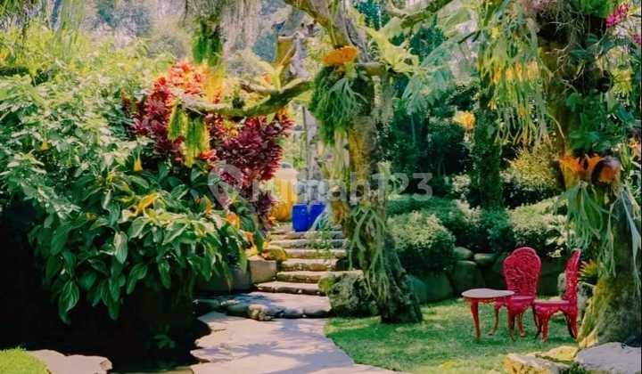 Tanah 2,5 Ha di Setiabudi Mainroad, Cocok Wisata & Komersial Tanah 2,5 Ha di Setiabudi Mainroad, Cocok Wisata & Komersial