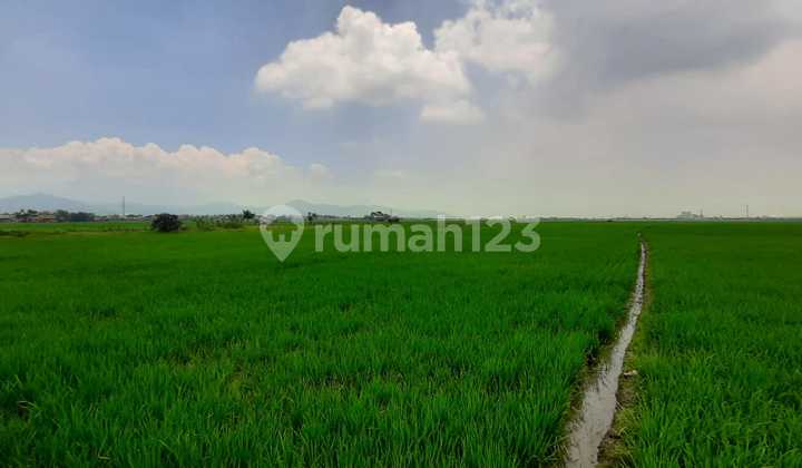 Kavling Luas Tegalluar Bandung Hadap Timur, Dekat Summarecon
