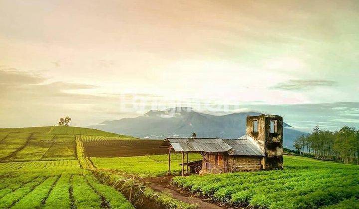 Tanah cocok untuk resort di Batu 1