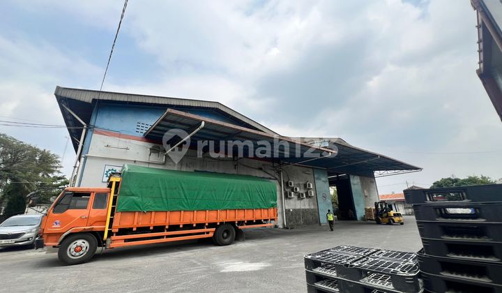 Cheap Warehouse Below Market Value Ready for Use New Jurumudi Tangerang