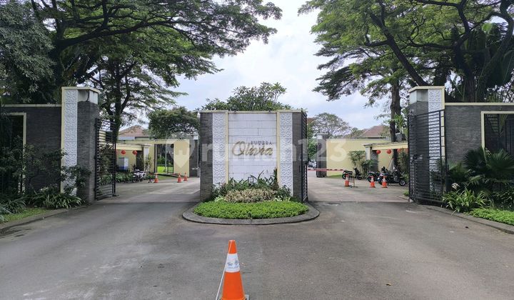 Kavling Murah Siap Bangun Sutera Olivia Alam Sutera Tangerang Kavling Murah Siap Bangun Sutera Olivia Alam Sutera Tangerang