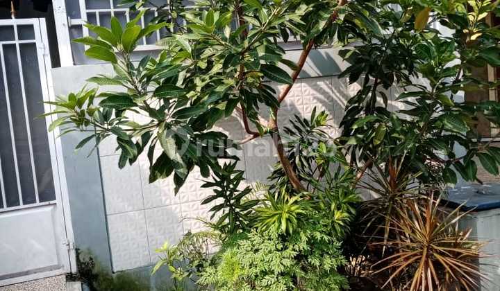 Rumah Rapih Bebas Banjir Siap Huni Di Citayam Depok Rumah Rapih Bebas Banjir Siap Huni Di Citayam Depok