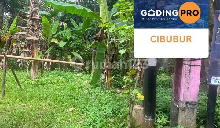 Dijual Tanah Di Kampung Di Samping Citra Grand Cibubur Jakarta Timur
