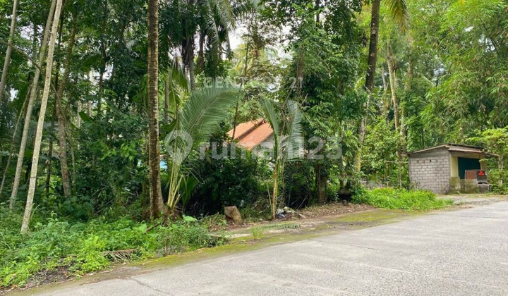 Prime Land in North Sleman Ideal for Cafe Business