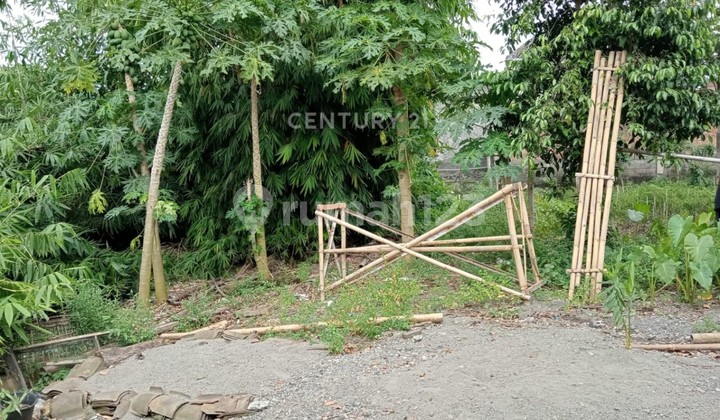 Tanah 139M2 di Purwomartani Dekat Bandara Adisucipto untuk Hunian Tanah 139M2 di Purwomartani Dekat Bandara Adisucipto untuk Hunian