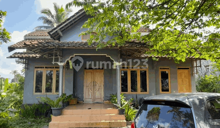 Rumah LT 1294 M2 Di Turi Hanya 300 M Ke Pasar Balerante Rumah LT 1294 M2 Di Turi Hanya 300 M Ke Pasar Balerante