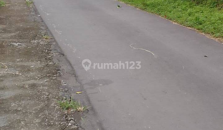 Tanah Luas Cocok Buat Hunian Villa Pertanian Utara Tajem  2