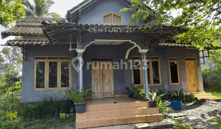 Rumah LT 1294 M2 Di Turi Hanya 300 M Ke Pasar Balerante 2