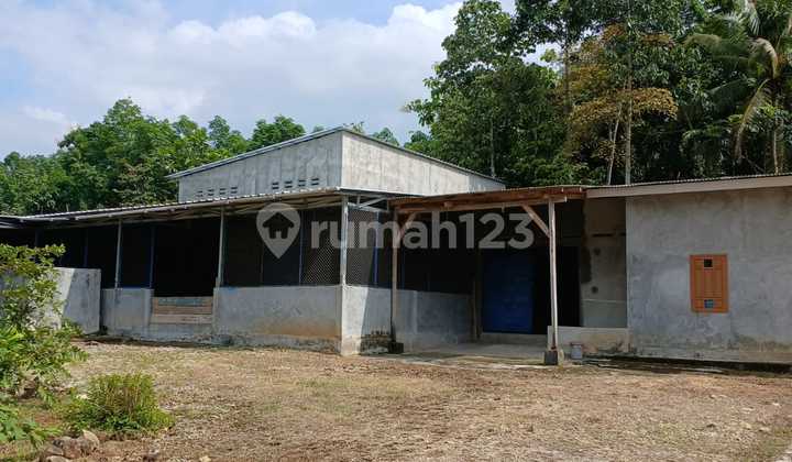 Rice Factory in Lampung, Pringsewu Rice Factory in Lampung, Pringsewu