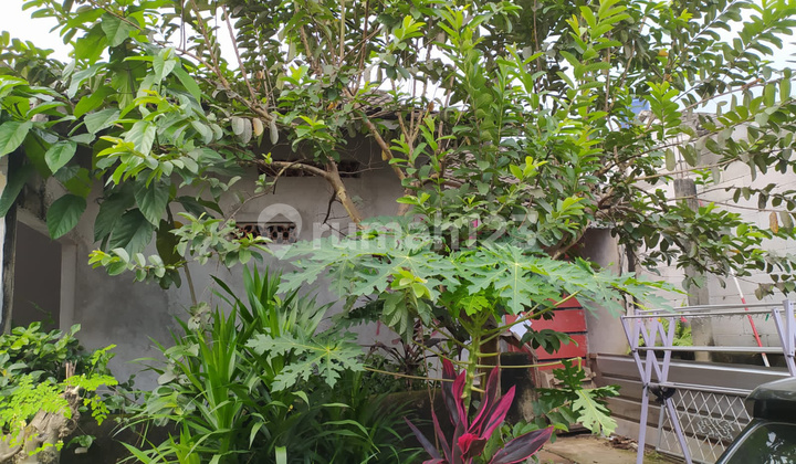 Rumah Take Over Parung Bogor,dp 165jt,cicilan 600ribu An 1